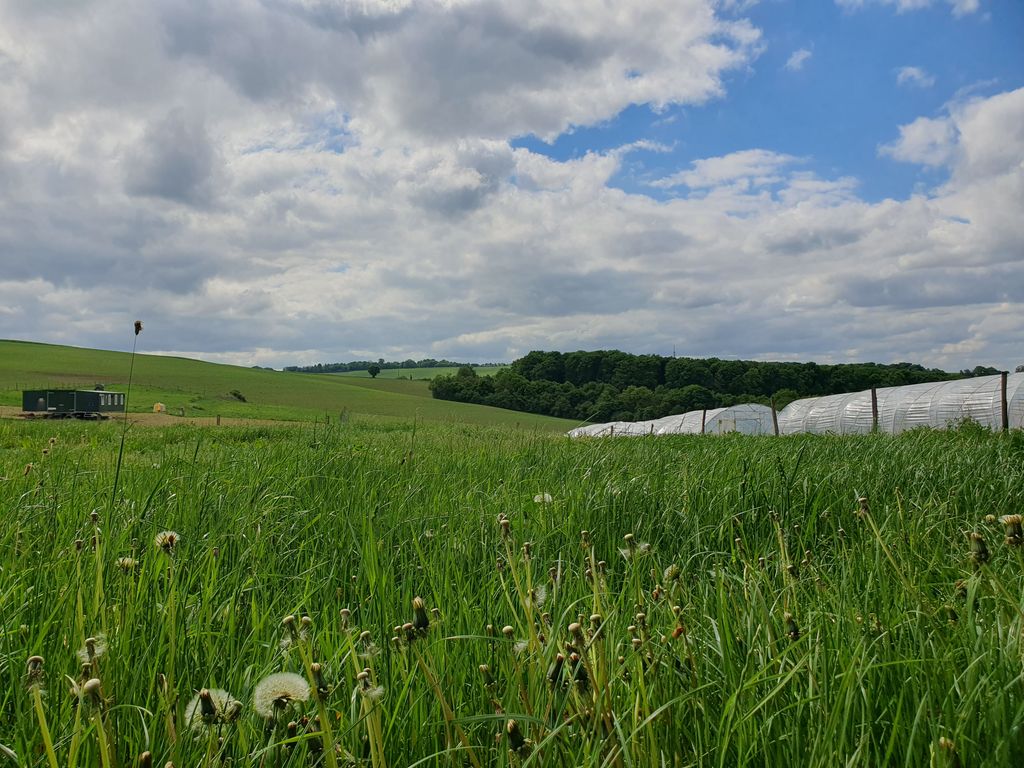 Natur pur – Stellplatz nahe Wald und Feld