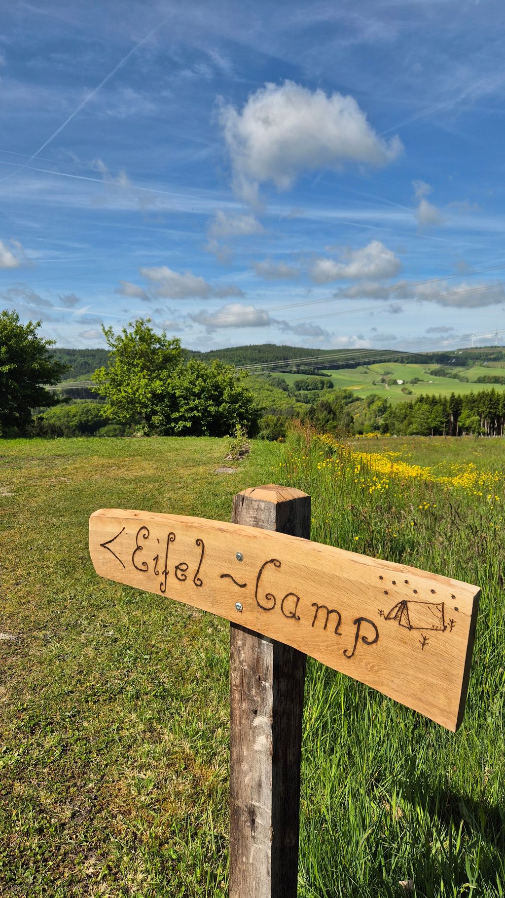 Un pedacito de felicidad: camping para los amantes de la naturaleza