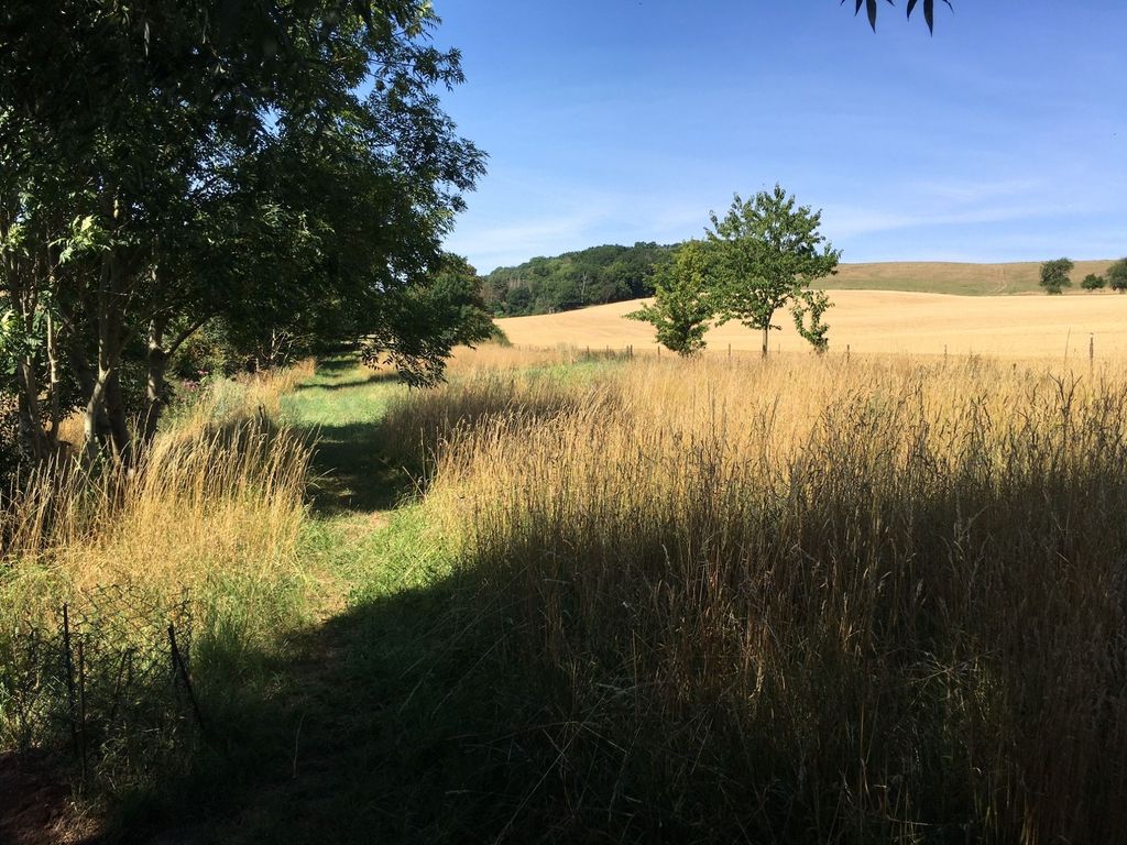 El Olmo - terreno de juego en un prado natural