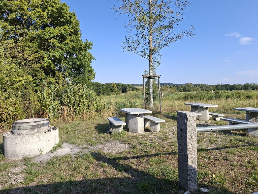 Natur pur an der Kammel