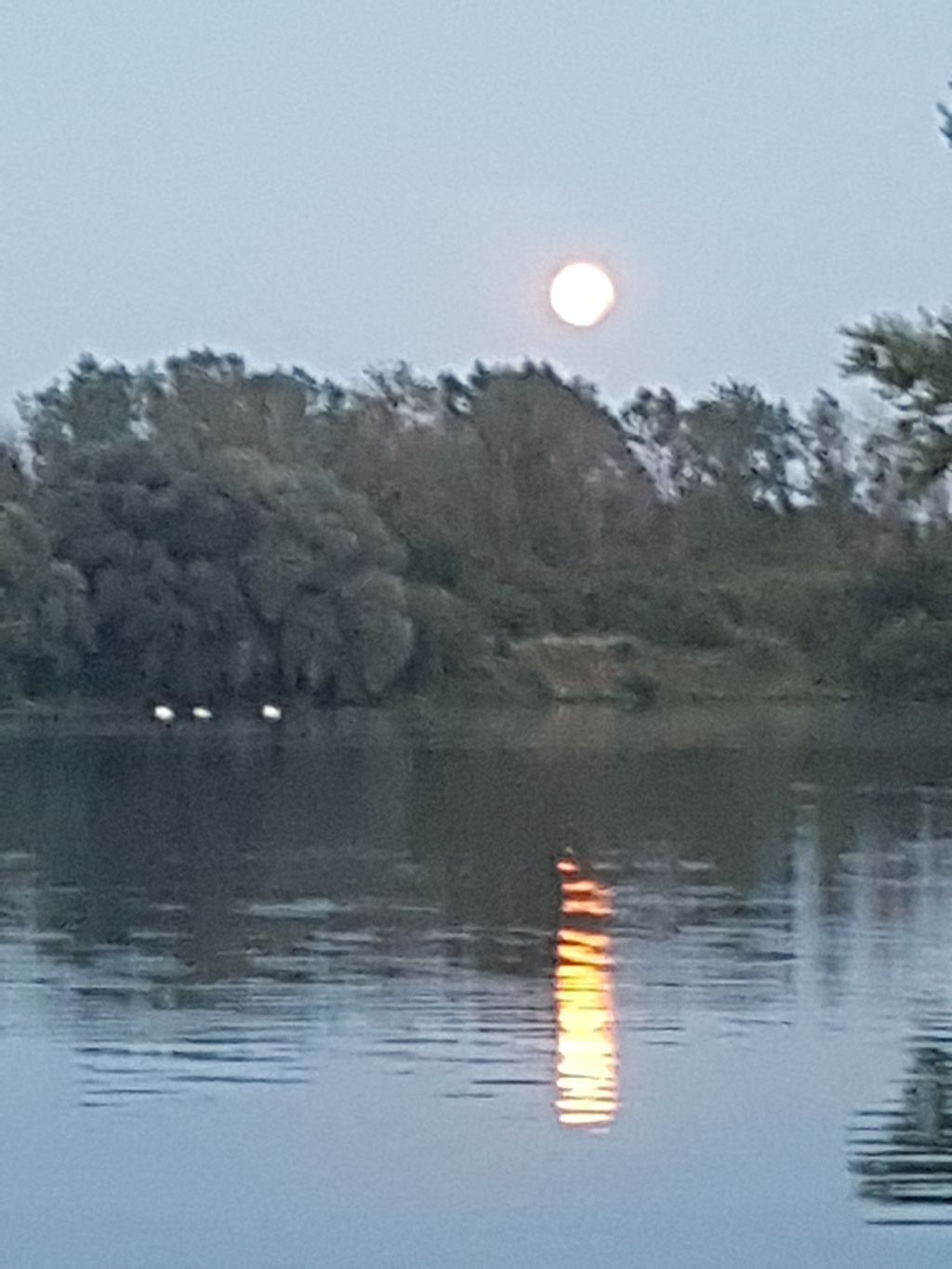 Caravan direttamente sul lago nel sud dello Harz