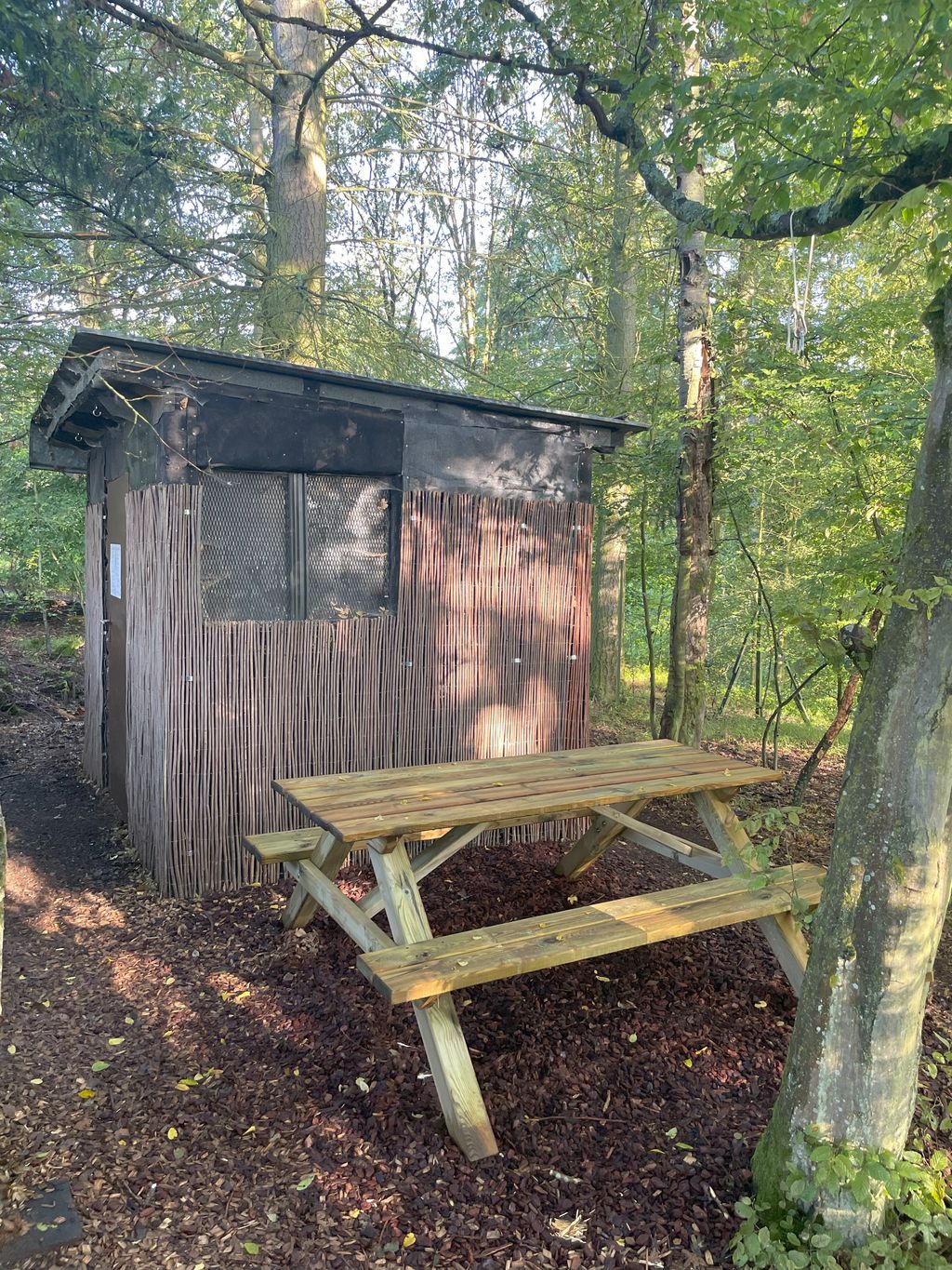 Gemütlicher Forstwagen auf der Wiese am Waldrand