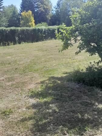 Stellplatz im grünen Herzen Thüringens