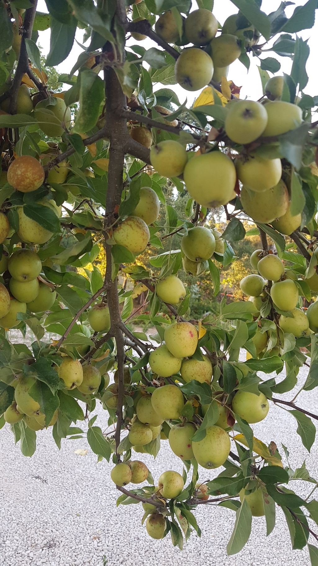 Cabaña de senderismo en el corazón de Portugal