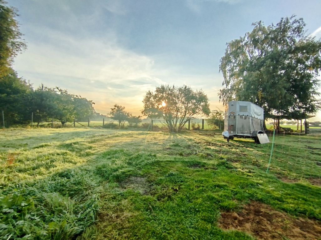 Aire de camping-car dans le Wendland avec des ânes