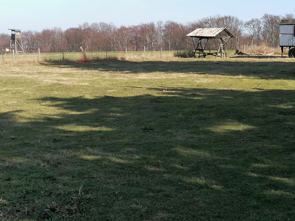 Ein 2000 Jahre alter Schlafplatz