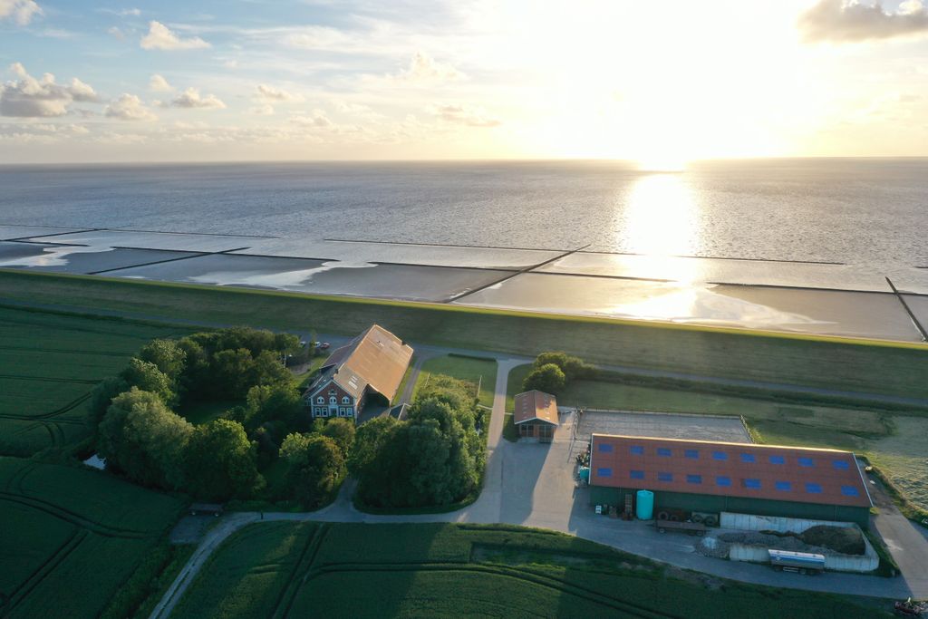 Farm campsite directly on the North Sea dike