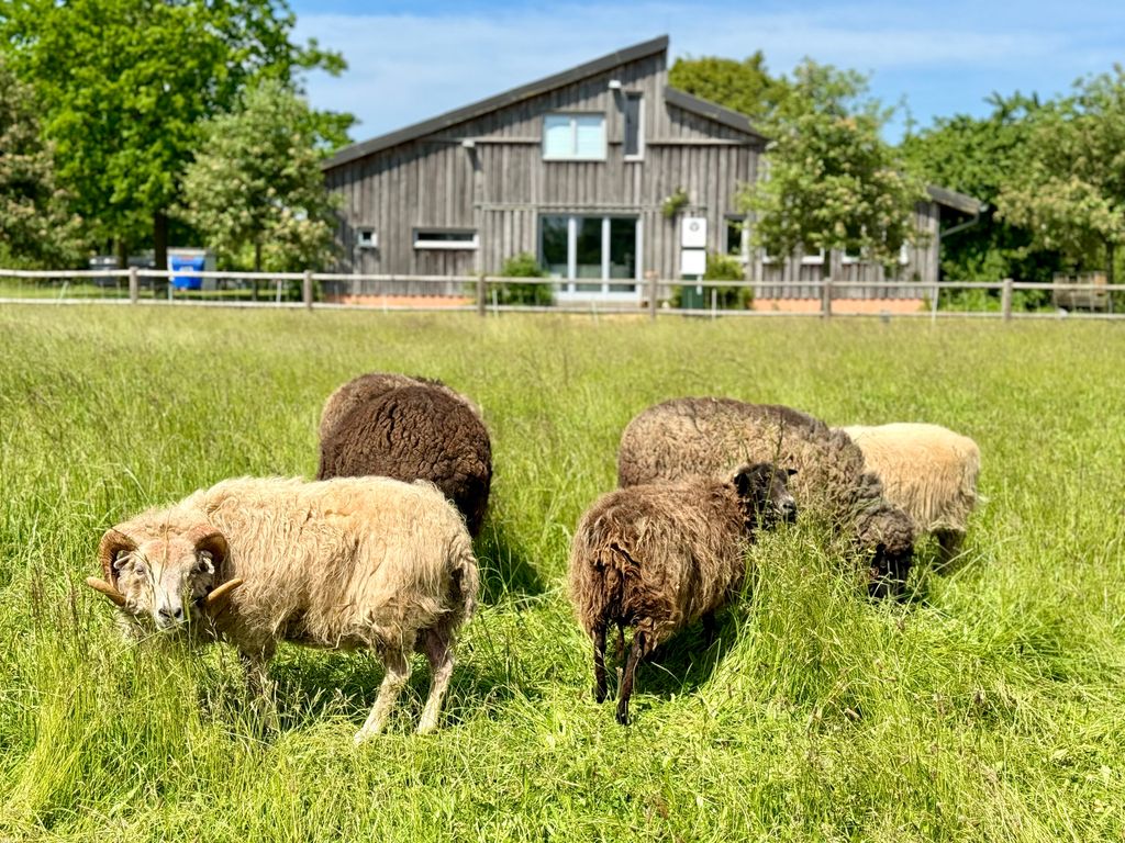 Camping auf dem Bauernhof in Stahlbrode
