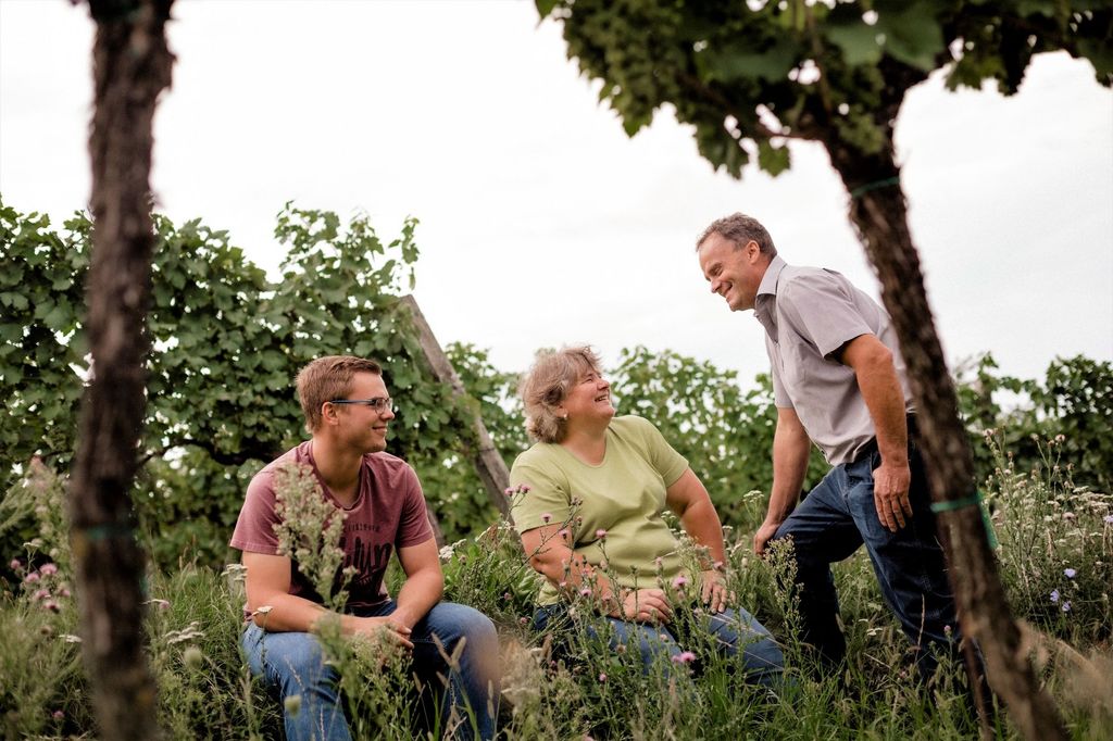 Campen im Weingarten