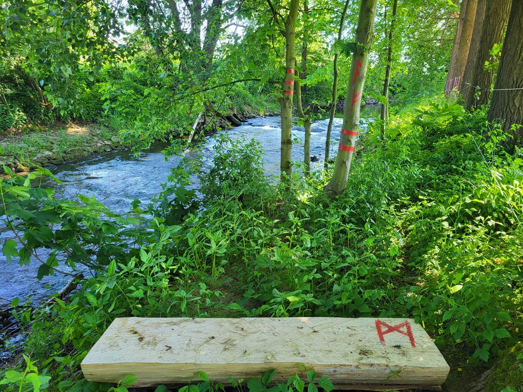 Une petite cascade privée juste à côté de l'emplacement