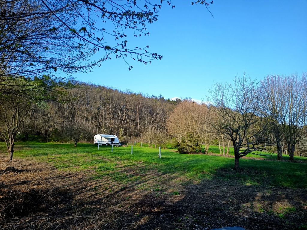 A quiet little meadow for camping