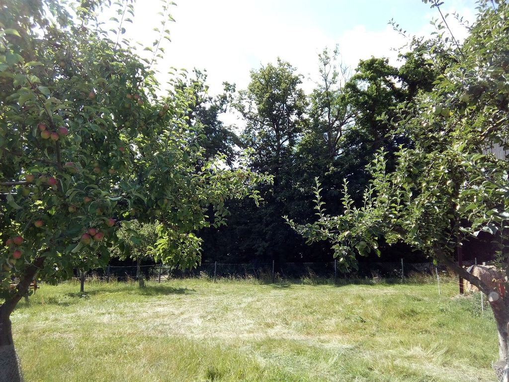 Relaxing in the green for a longer stay