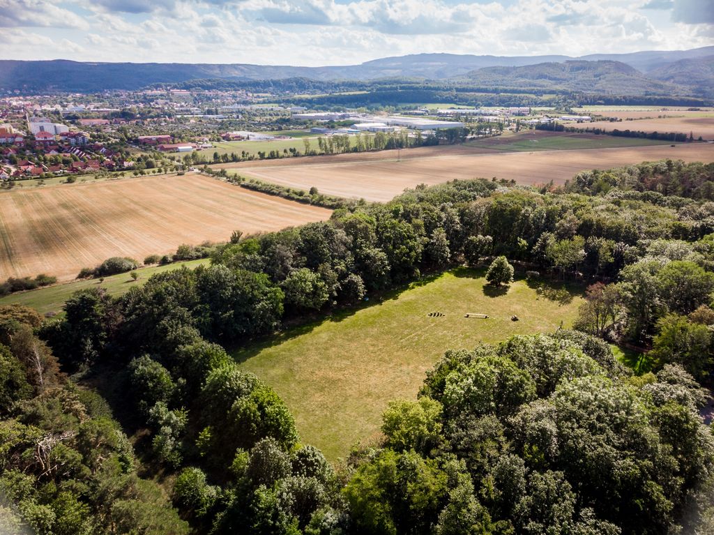 Experience nature with a view of the Harz Mountains