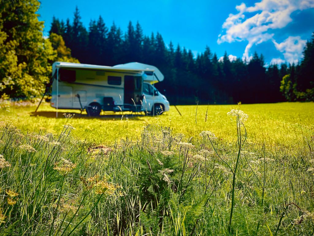 Nature camping in the Black Forest in a secluded location