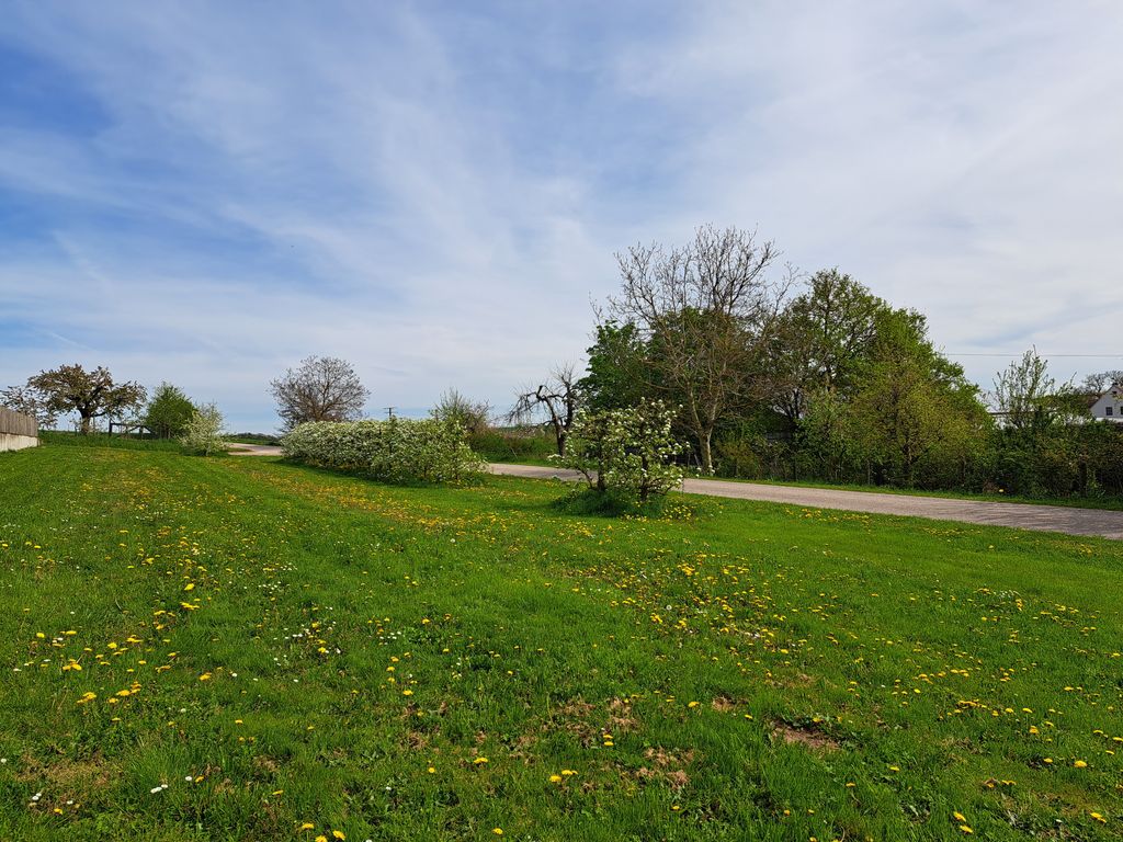 Un tempo meraviglioso nel villaggio delle ciliegie
