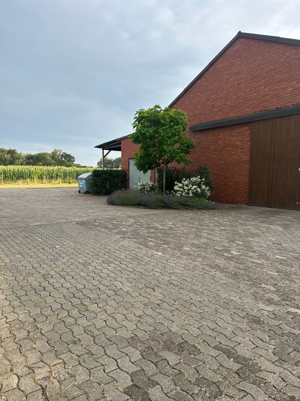 Camping am Feldrand nahe Neustädter Moor