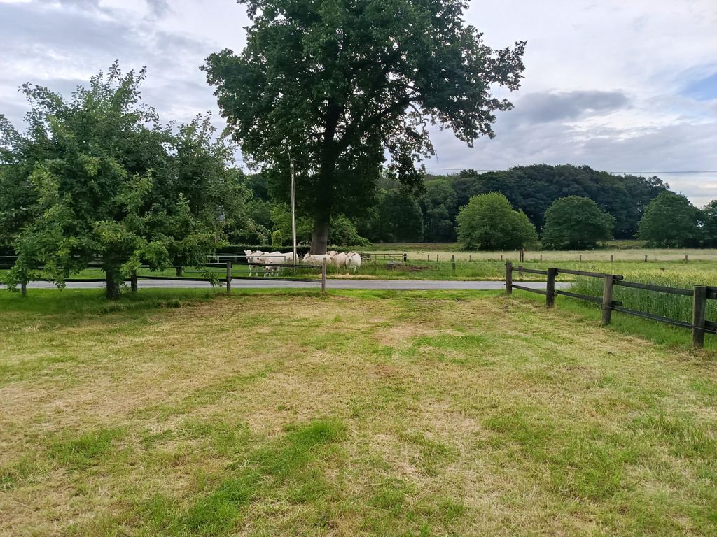 A spot on the lawn next to the fruit trees 