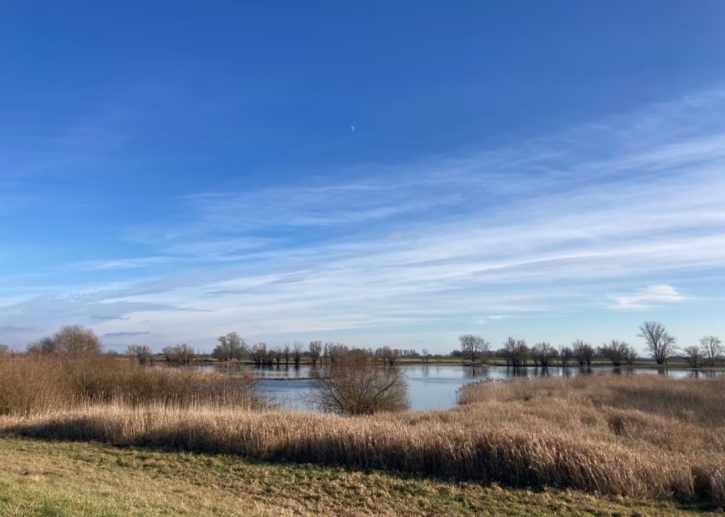 Iglucraft dans le parc naturel de Wendland, près de l'Elbe