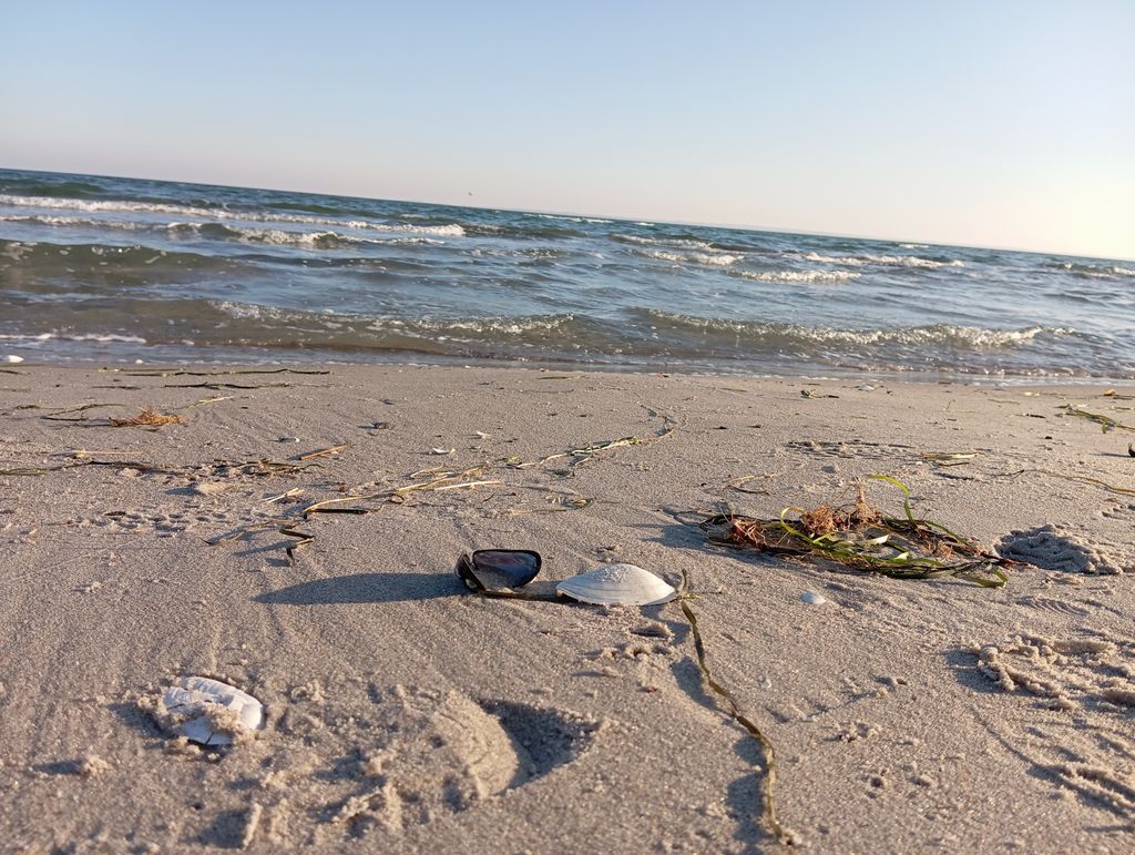 A soli 50 metri dalla spiaggia di sabbia fine della costa del Mar Baltico
