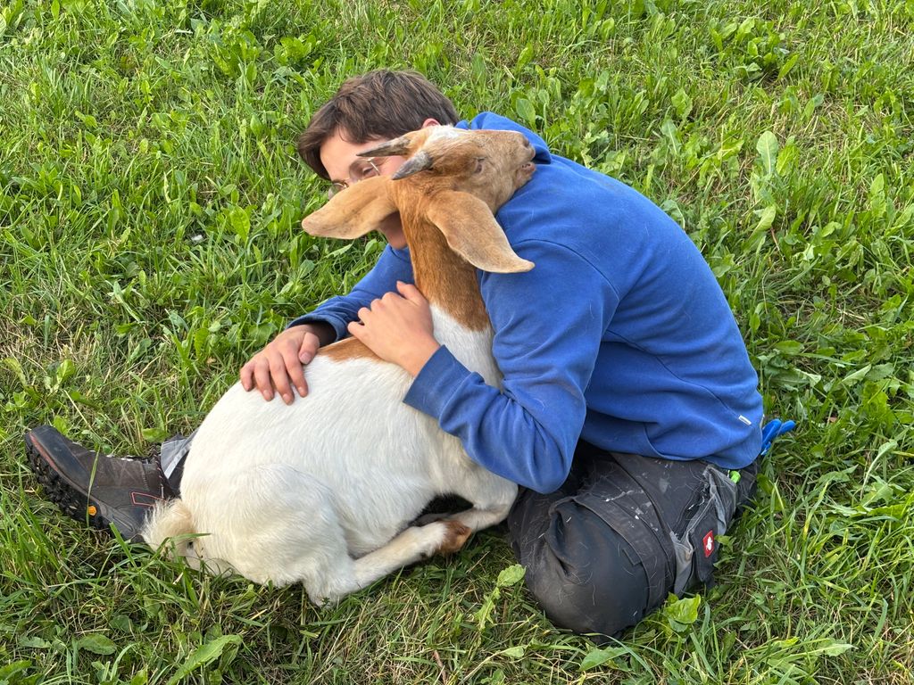 Rural idyll far away from the hustle and bustle