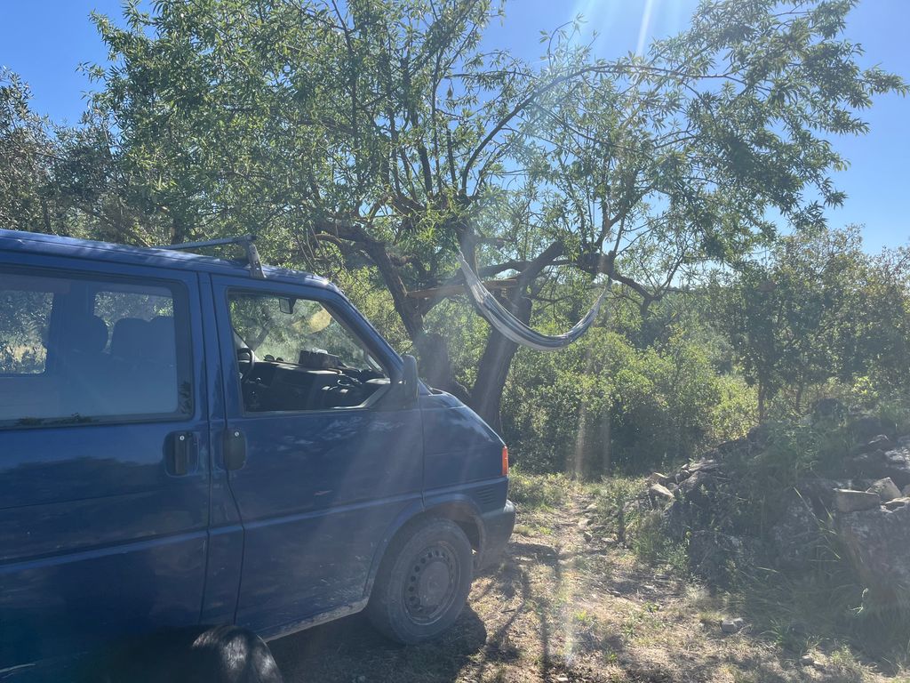 Camping im Olivenhain – Ruhe auf 500m 