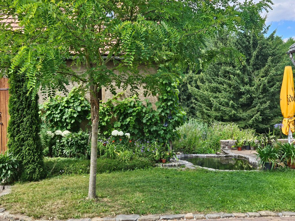 Plaza de aparcamiento junto a la casa forestal, justo al lado del bosque de Zell
