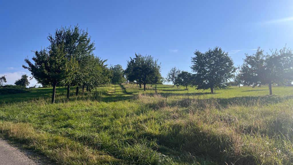 Self-sufficient parking space on the orchard