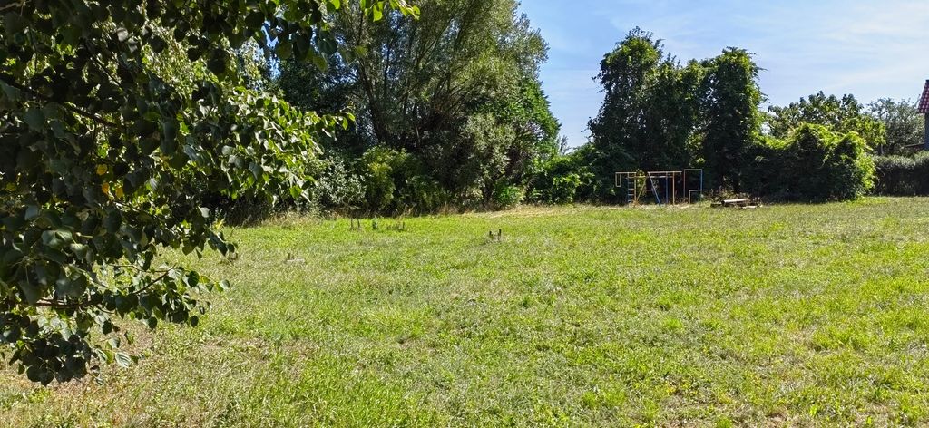 In campeggio tra lo Spreewald e il Seenland