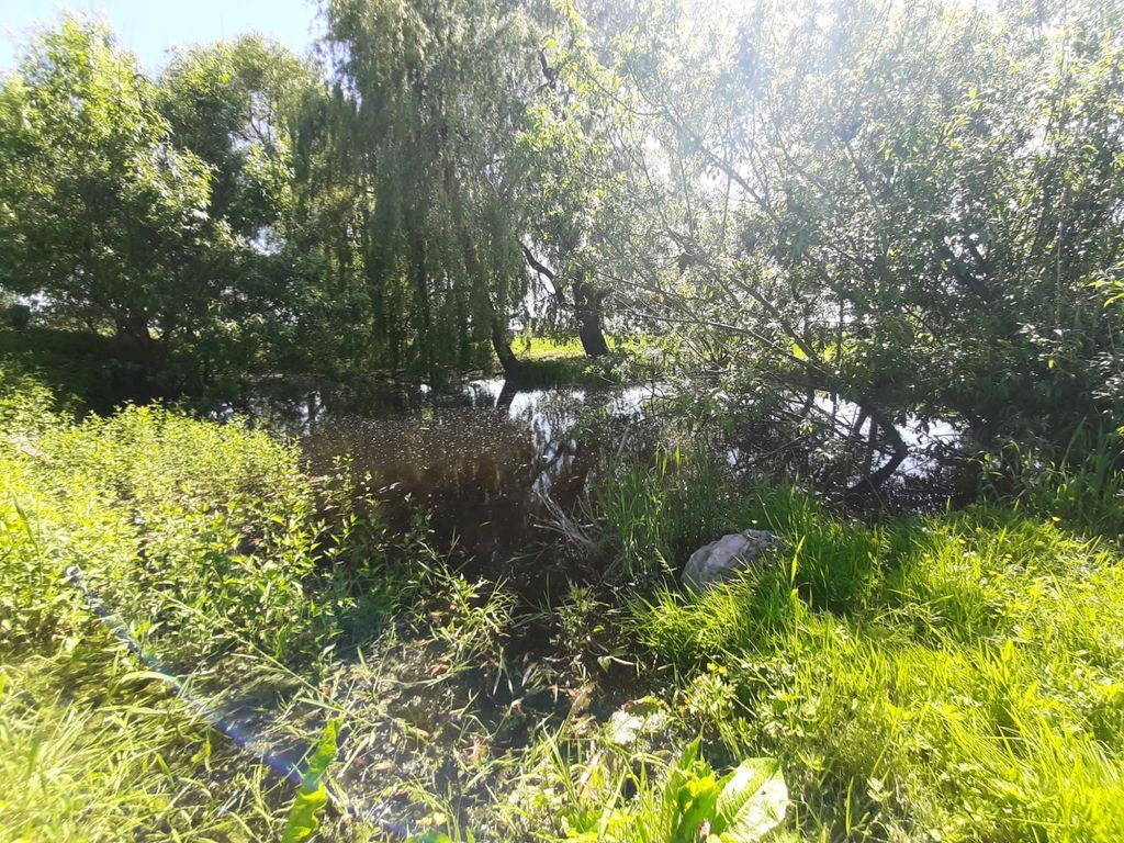 Spend the night on our farm by the pond