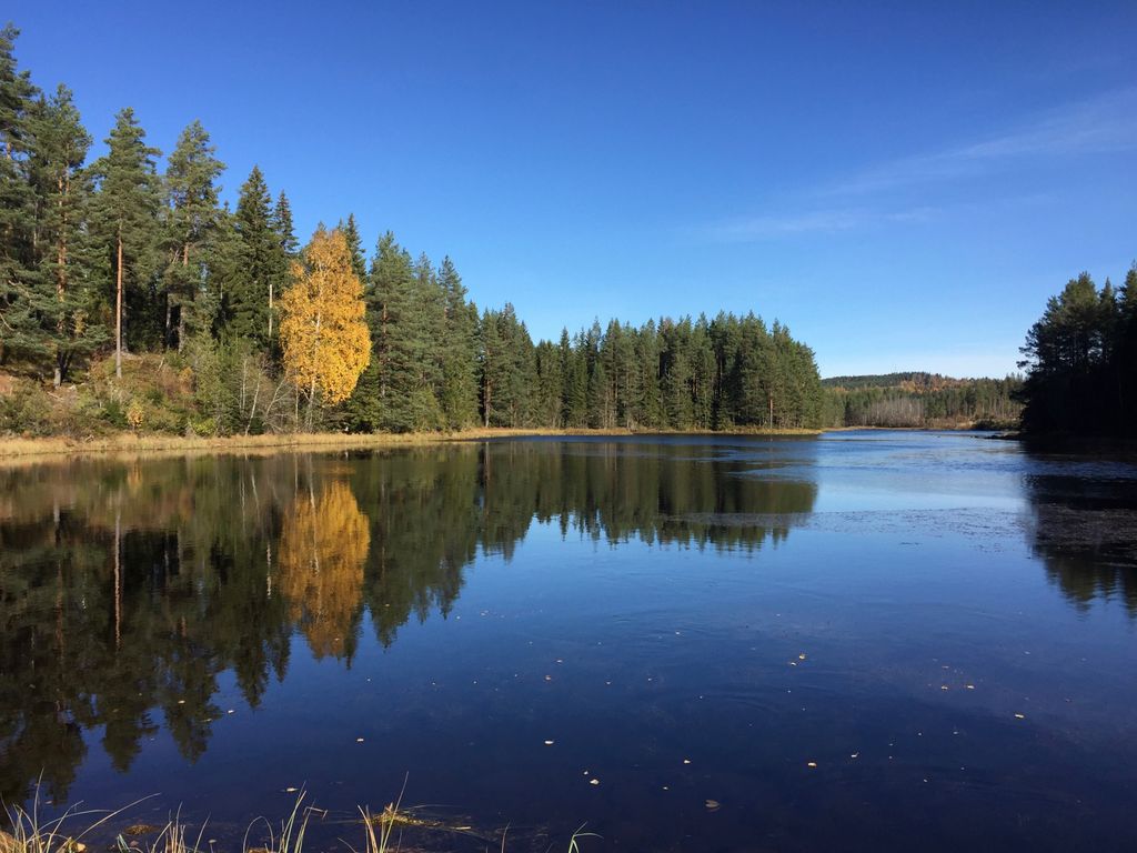 La Svezia da vicino nella regione di Bergslagen