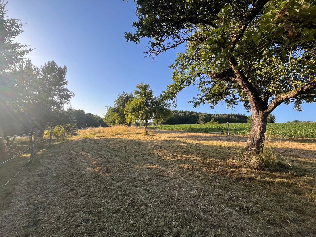 Stellplatz auf idyllischer Obstbaumwiese 