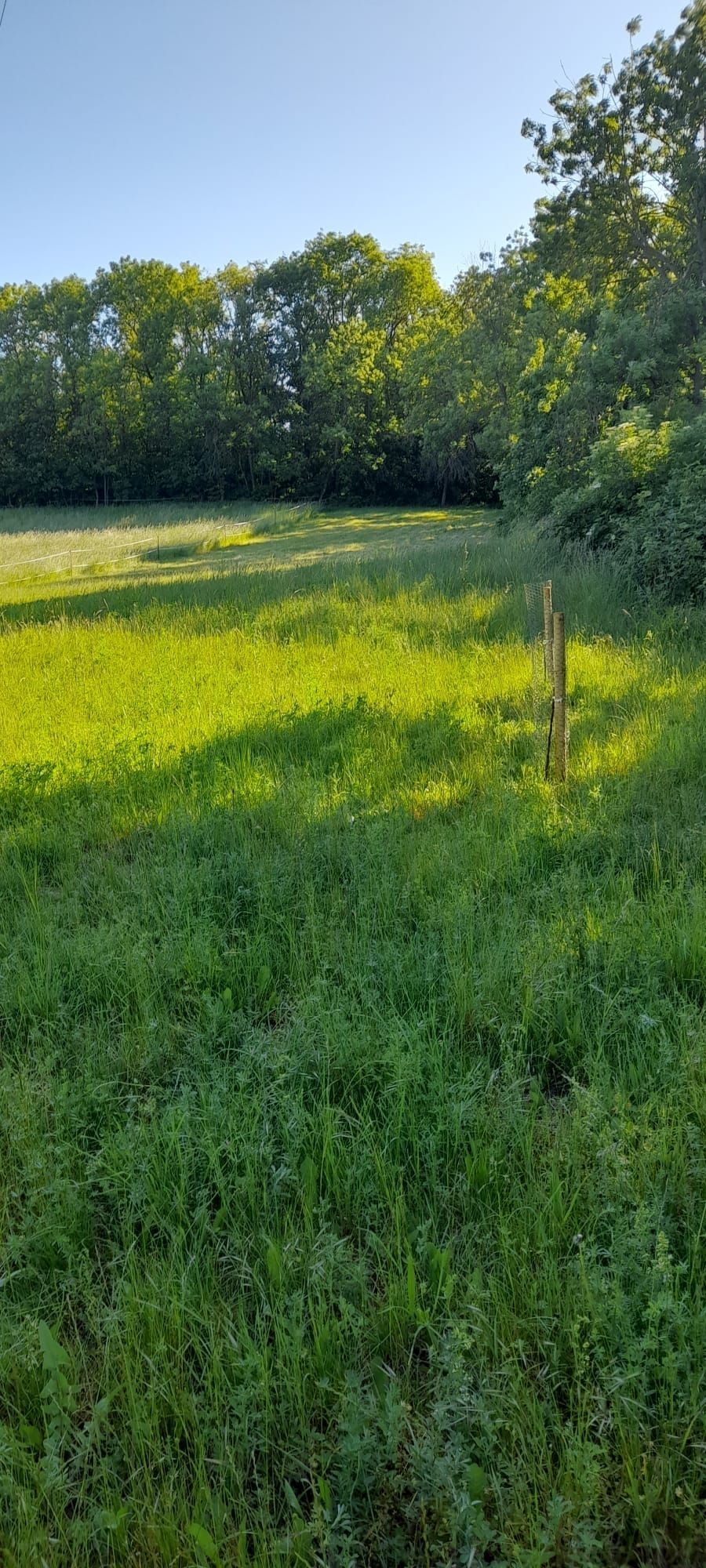 Alla periferia di Erfurt, capitale della Turingia, si trova la città di Erfurt.