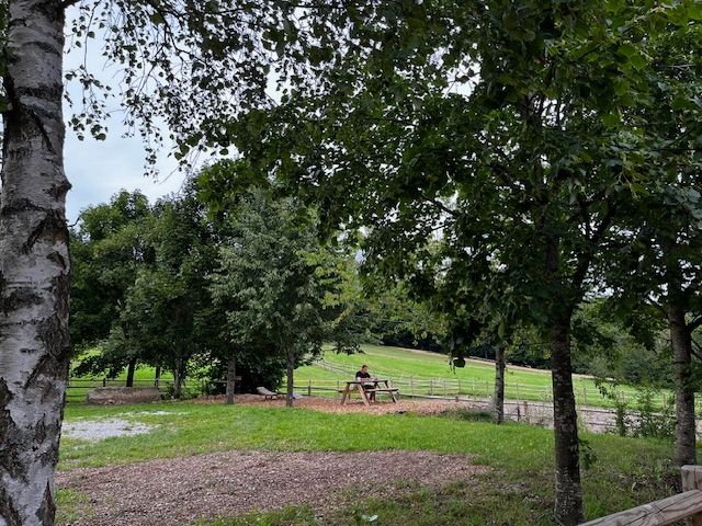 Nature camping among horses
