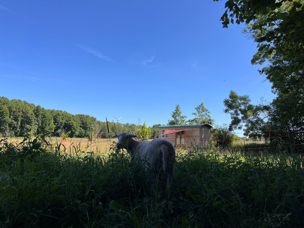 Traumhafte Lage auf der Schafweide