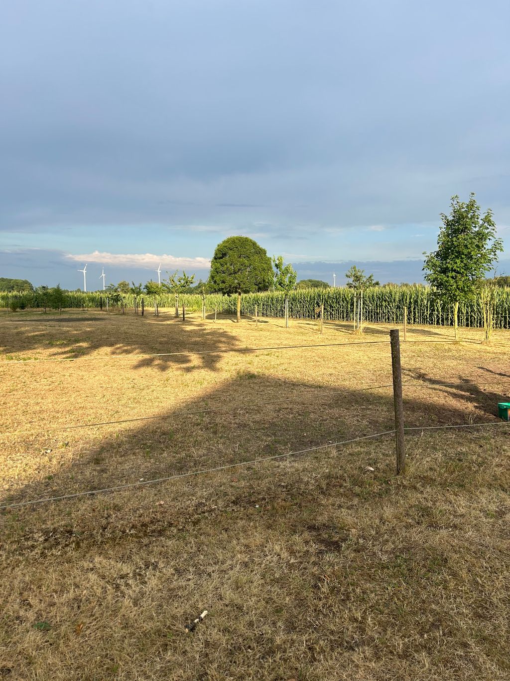 Camping am Feldrand nahe Neustädter Moor