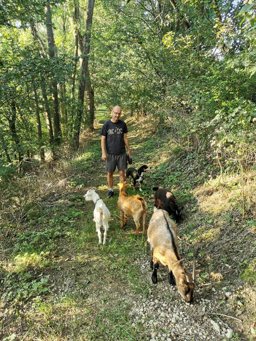 Under the walnut tree in the untouched Ettetal valley