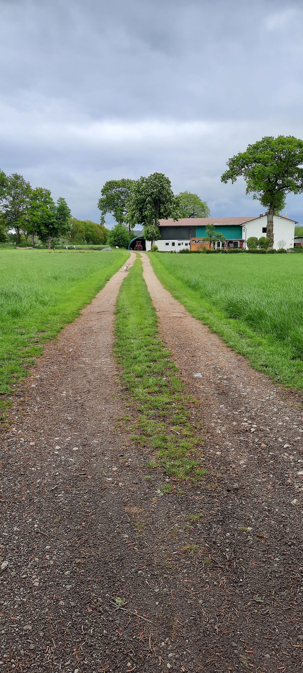 Maison en bois pour 4 personnes