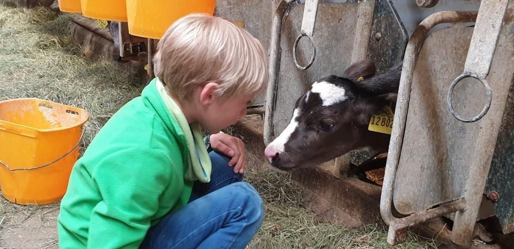 Ferme-camping dans l'Allgäu