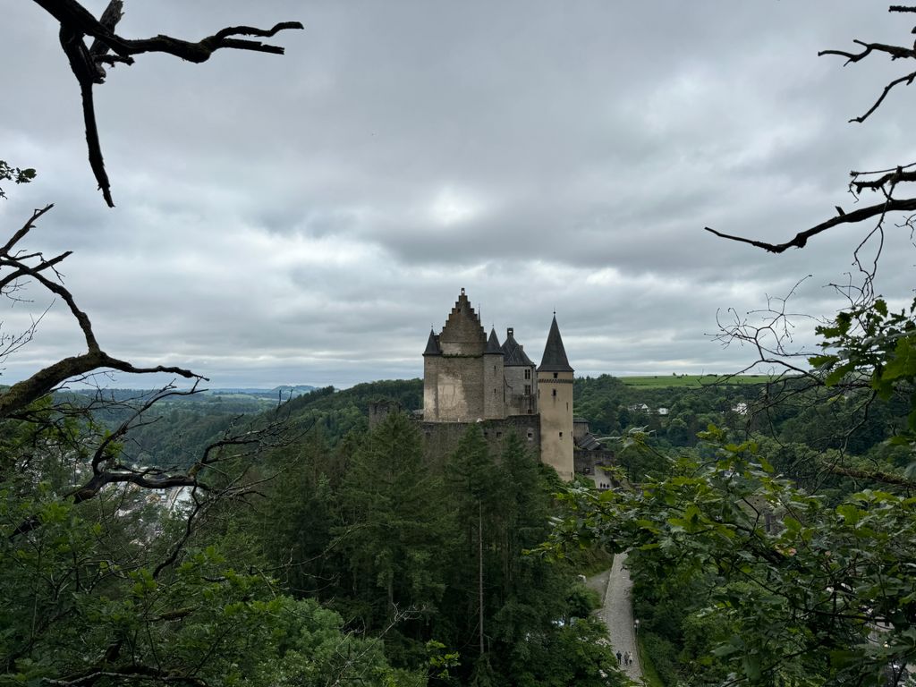 Mini campamento en una antigua granja con instalaciones sanitarias y electricidad