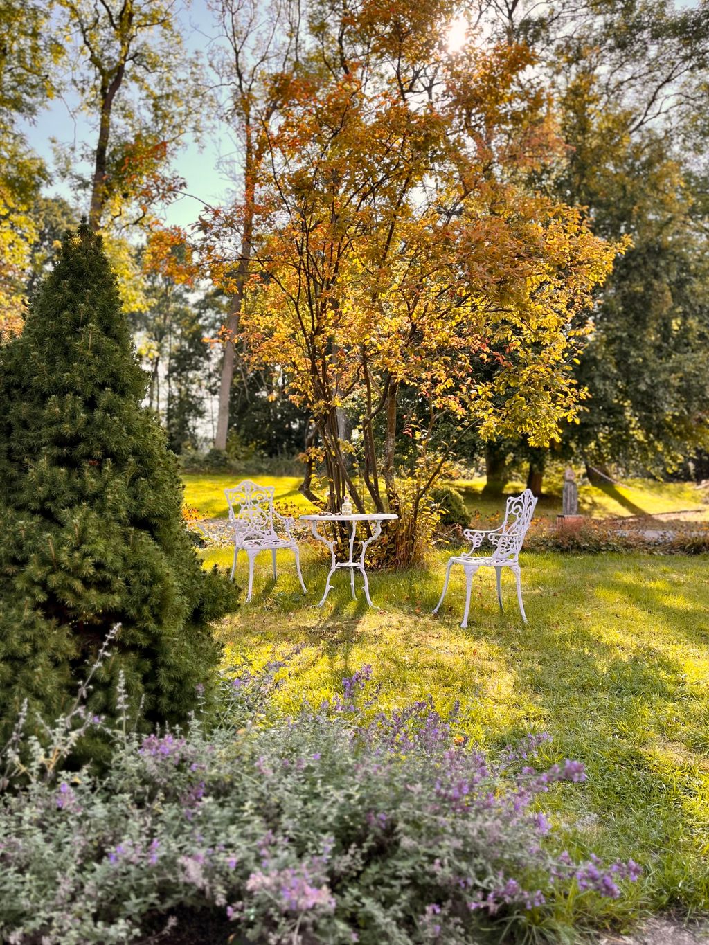 Beautiful spot at the old watermill