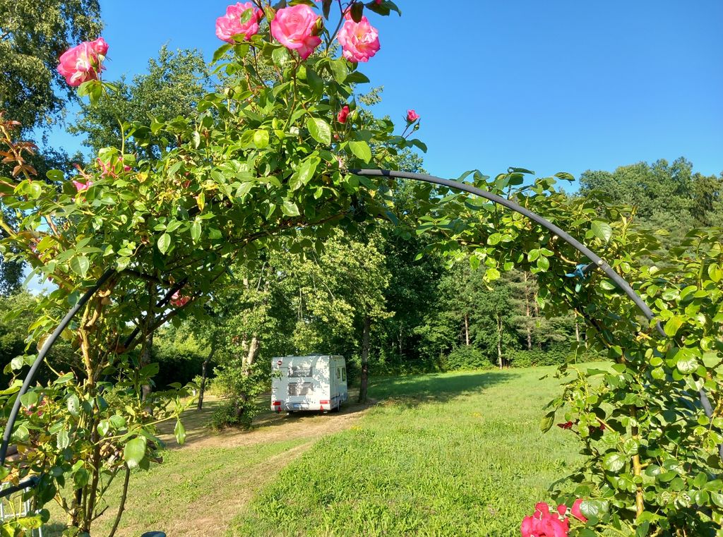 Tranquillità assoluta ai margini del bosco in mezzo alla natura