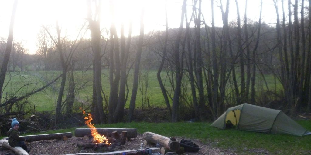 Primitive forest property with stream