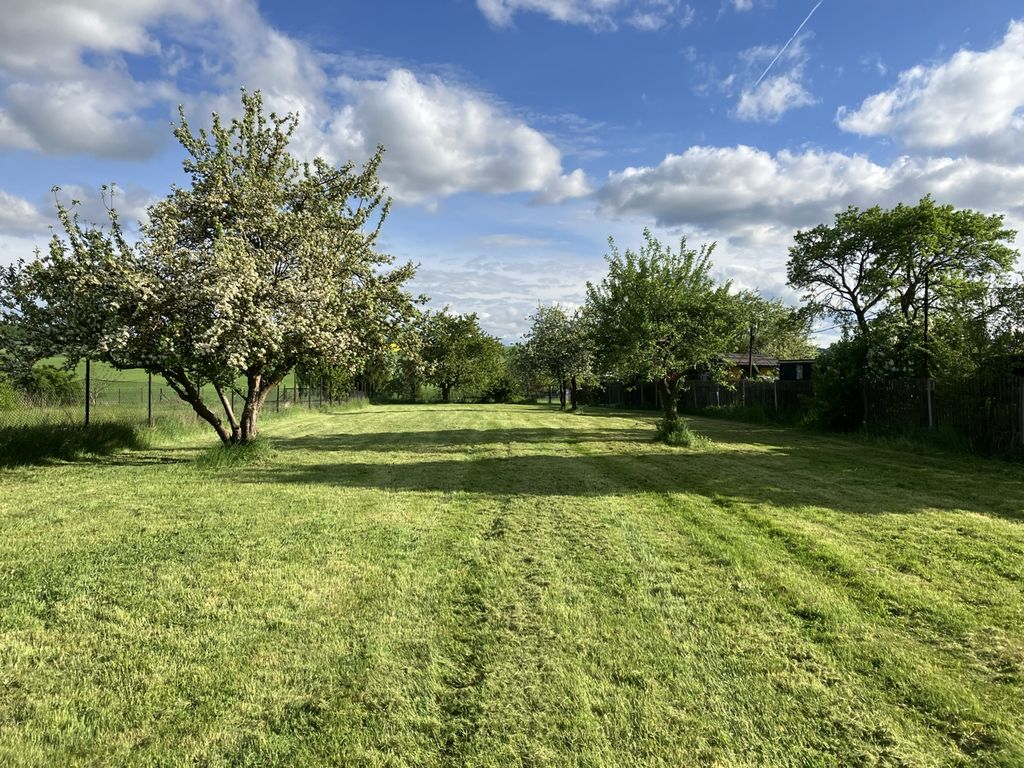 Nature with a view between the fruit trees