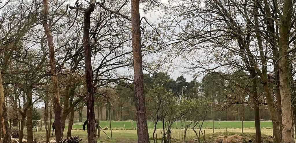 Autark campen in Wedemark auf der Pferdeweide