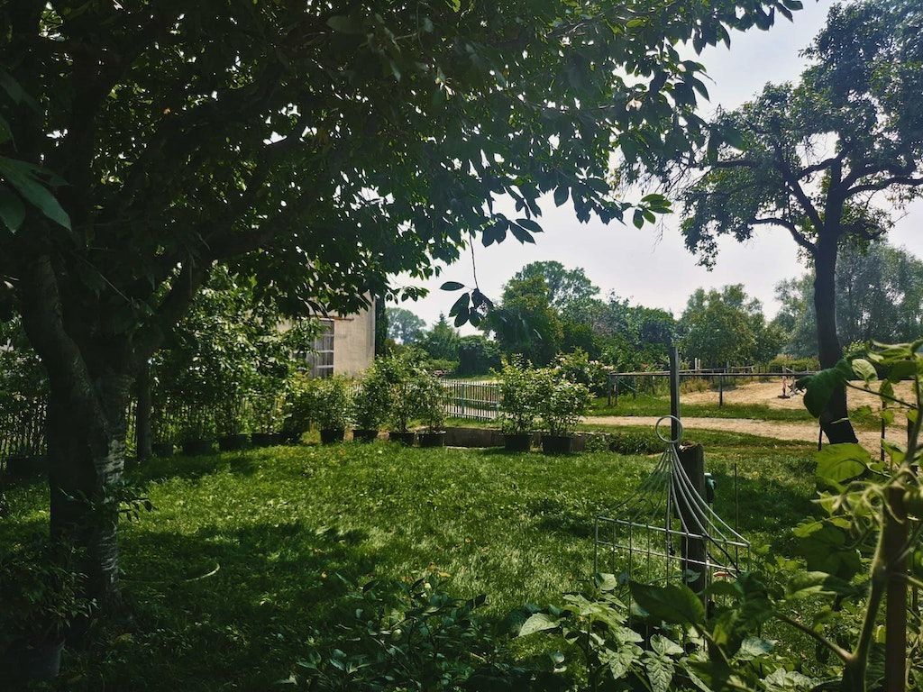 Obstgarten am Bauwagen (Einzelstellplatz) 