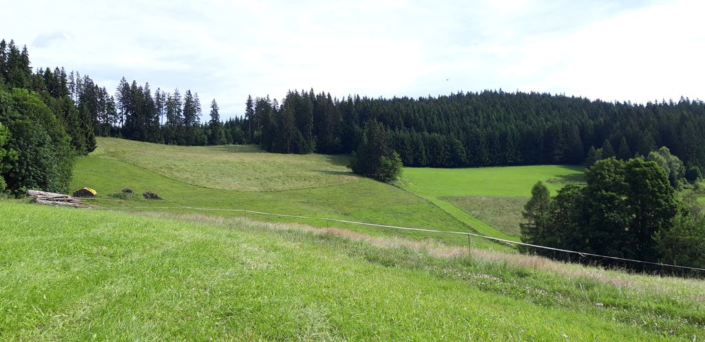 Stellplatz im Schwarzwald mit einmaliger Aussicht 