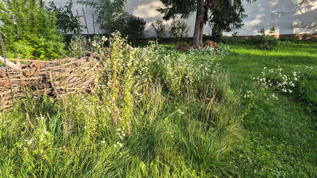 Détente aux portes de la Suisse franconienne