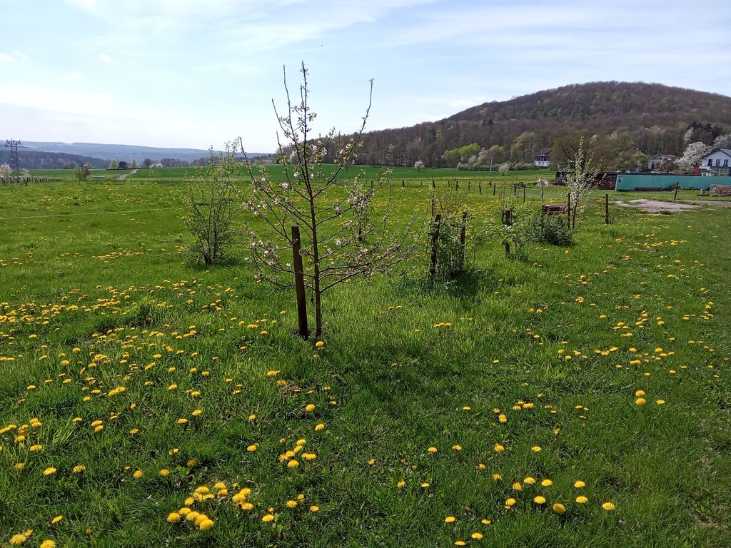Panorámica del Rhön en una antigua granja de tres lados