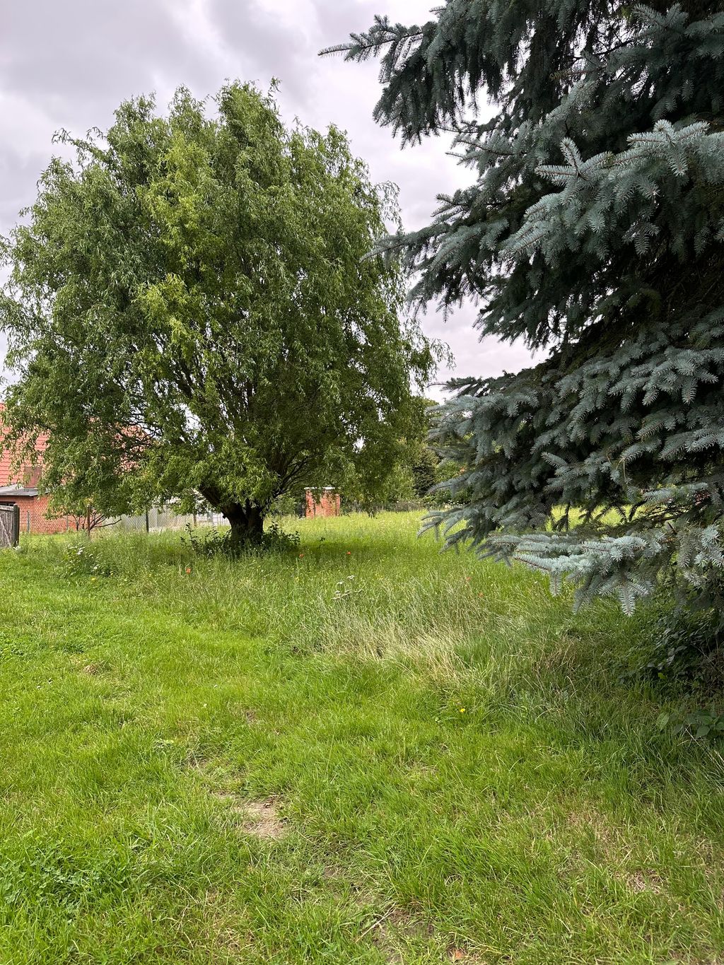 Stellplatz WIESE