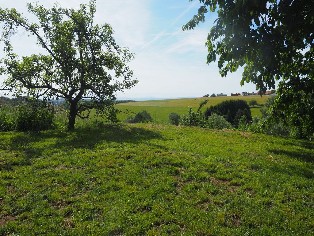 Ruhiges Panorama-Campen: Zeltwiese bei Görwihl